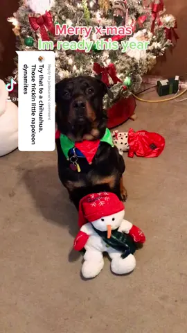 Reply to @judesane this comment killed me #underrated #merrychristmas #hollidays #CustomersMostLoved #dogsoftiktok #PetsOfTikTok #guarddog #growlking