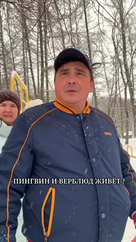 Рубрика «Глупые вопросы». Какая реакция понравилась больше всего? 😅 #глупыевопросы #соцопрос