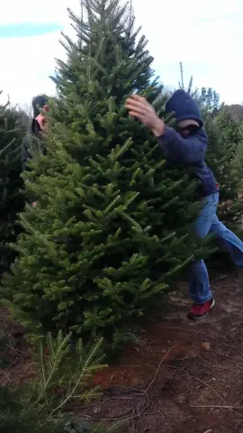 Well that’s one way to do it! 😂 #christmas #christmastree #holidaytree #SnowballFightAgainstHunger #JBLGreekOut #CustomersMostLoved #funnyclips
