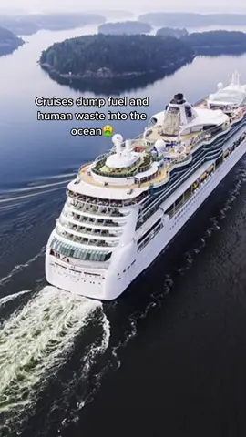 I feel like y’all are going to like this one 😅 #cruise #vacation #ecotok #environment
