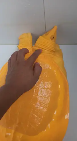si kuning temanya Tanos #labilabi #reptile #kurakura#albino #panjipetualang