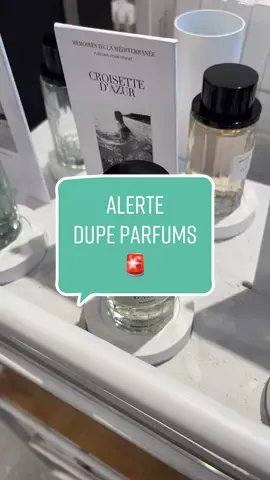 Alerte Dupe parfum !!🚨#mango #fyp #pourtoi #fypシ #parfums #dupealert #dupe #vlogs #paris #shopping #shoppinghaul