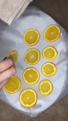 Dried citrus for the win:) #citrus #driedcitrus #DIY #holidayvibes #fyp #EcoFriendly #MyBrawlSuper #SnowballFightAgainstHunger