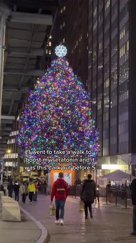 No seratonin gets boosted when it looks like it’s midnight #nyc #nycproblems #nycthings #wallstreet #christmastree #christmas