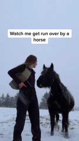 The way i got knocked out of frame 😳 im fine btw #animalfail #horses #horsesoftiktok #farmlife #fail