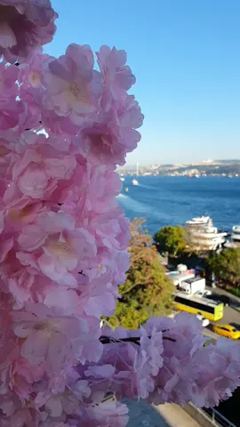 Kabataş bosphorus...🌺💙😍📸 #canturk #bosphorus