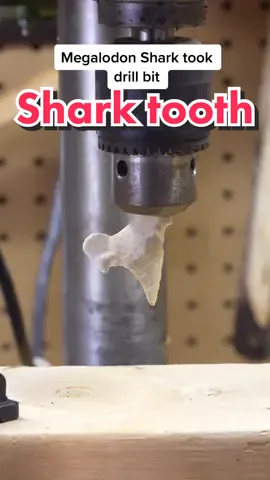 Shark tooth drill bit. What should we try next?