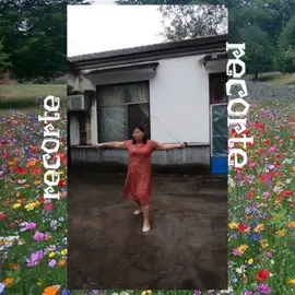 °•mulher do chicote•°#liberado #qualidade #edits #video @moon..yim