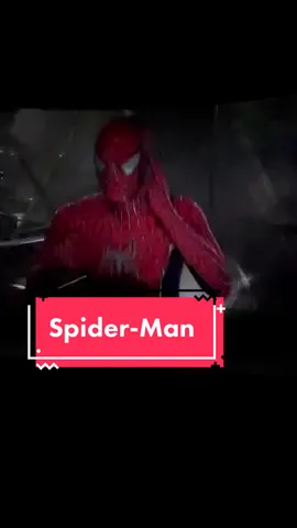 It’s was so good, let me know if you want pt2? #spidermannowayhome #tobeymaguire #andrewgarfield #spiderman #peterparker #mj #nowayhome #fyp #4you