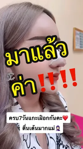 ครบ7วันแล้วคร้าทรงแขกอาหรับ2022