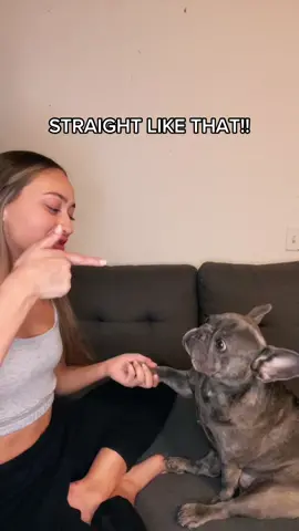 It’s always going to be me! ❤️ #dogsofttiktok #fyp #frenchie #WhenRiftanSays #ThanksandGiving