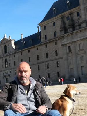 #ikershiba #elescorial #Madrid #perros #shibainu