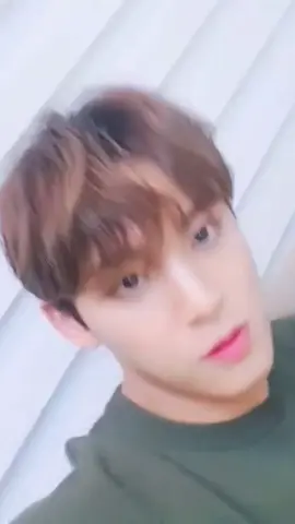 chấn động : idol nhóm S nói tiếng việt 🤭 #seventeen #mingyu