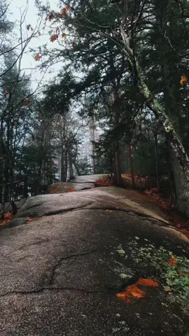 Goodnight, friends. #hikingadventures #fog #foggy #nature #naturecore #naturelove #forest #forestcoreaesthetic #forestcore #mist #mountainviews #woods