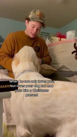 My heart 🥺🥺 #fypシ #GEICOGiveHappy #sweet #dog #couples