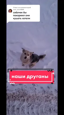 Ответ пользователю @svet_lana1998