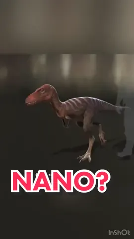 NANOtyrannus or just a juvenile T. Rex?! Let me know what you think! #trex #nano #dinosaur #jurassicworld #lancian #paleontology #paleotok #fossiltok