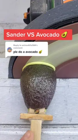 Reply to @anime4life584 Sander VS Avocado 🥑  #oddlysatisfying #satisfying #foryou #fyp #sandervs #avocado