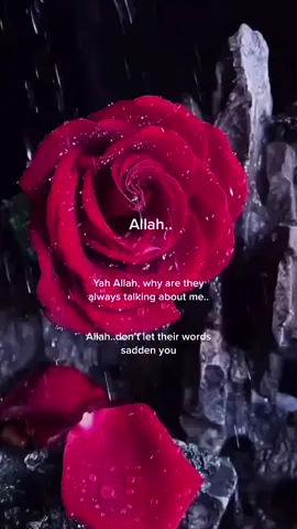 Allah #allahswt☝ #allahuakbar