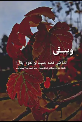 محضور من الاكسبلور فزعتكم ستوريات _فيس بوك #حالات_واتس_اب #اكسبلورexplore #تصميمي #fypシ #