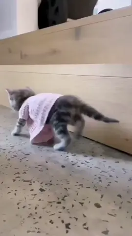 She got this!