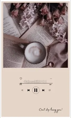 “Mình đơn côi… nuối tiếc bao ngày tháng trọn đôi.” #nhacchill2101 #music #typ #nhachaymoingay #lyrics