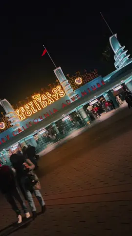 Disneyland Christmas Edition (Part 5 of 8) 🥳🥳 #fypシ #foryou #forupage #disneyland #disney #navidad #holiday #MyPlayoffPicks #californiaadventure