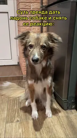 🥺❤️