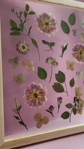 pressed + framed 💐 #flowers #artprocess #pressedflowers #weddingflowers