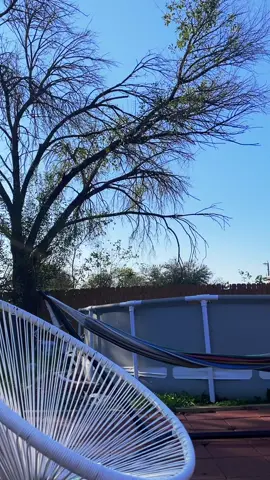 Beautiful sunny texas