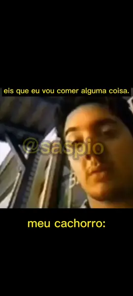 kkkkk bem assim #saspio #kkkk #meme #taco #cachorro #🤨 #foryou #fyp #foryou #viral #fy #fy #joquierotacobrel
