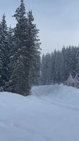 #winteraesthetic #wintervibes #christmas2021#путешествиеврождество #зима2021 #буковель #WinterMagic #wintervacay #icewasonline #newyear#skiingislife