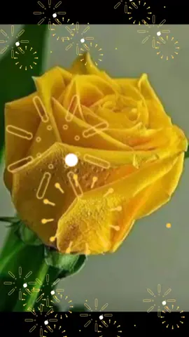 🥀💔🥀💔🥀💔🥀💔🥀😭😭