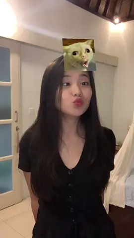 Udah mirip belom? #sillyface #fyp