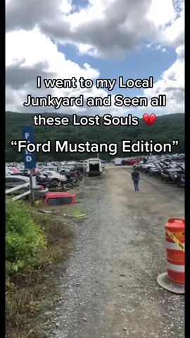 Junkyard Run {pt.14} ‼️ ( Any Other Makes or Models? ) #junkyard #scrapyard #upullit #pickapart #jocelynthexj #ford #mustang #mustanggt #mustanglifestyle #fordmustang #stang #cartok #carsoftiktok #foryou #trend #blowthisup #car