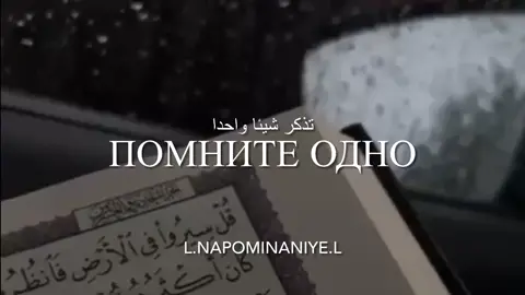«Куда бы вы ни обратились, там Лик Аллаха»(Сура «Корова», аят 115).🤍#ислам#религия#пророки#аллах#вера#FreeFireIce