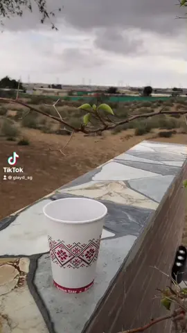 عسي داره هميم  بالـغيث ويبـاتي 🌨 #winter_2022