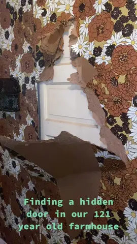 One of the coolest parts of buying an old house... the mystery of what we’ll find next! #oldhouse #homingourhome #farmhouse #mystery #hiddendoor #reno