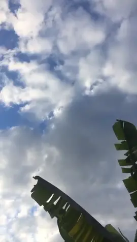 #ขึ้นฟีดที