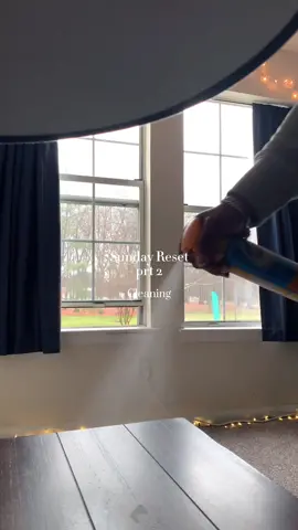 what’s the first area you tackle when you clean your space? #njnjeri #sundayresetroutine #sundaycleaning #cleaningday #cleaningreset #EveryKiss