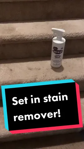 Have you tried this yet!? Why has it taken me this long!? #folex #folexcarpetcleaner #spotclean #stainremoval #notanad