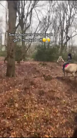 was close to getting decked by tatty , swapped horses to jump, then really front flipped n hit the floor on mina🥲 DAY IN THE LIFE #fyp #equestrian