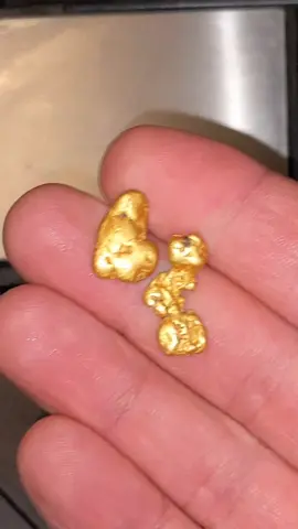 It's pretty rare to a gold nugget when your out prospecting.. let alone TWO near the same spot!! 🙏🏼💛 #fyp #gold #goldnuggets #pretty #pioneerpauly