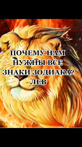 #гороскопы