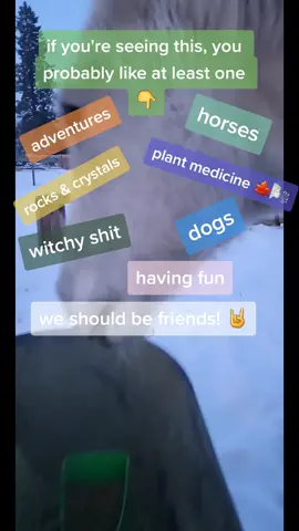 where are my peeps at!? #adventures #rocks #crystals #dogs #horses #fyp #plantmedicine #havingfun #witchyvibes #pnw #friendgoals #letsbefriends