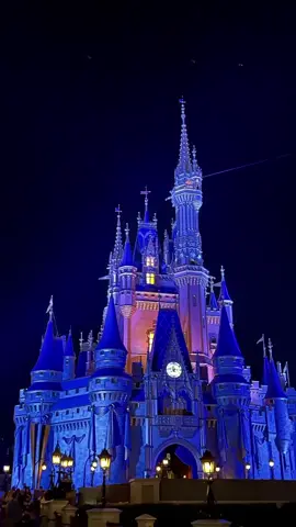 This audio came out and I had to share one of my fav memories from 2021! #disneyworld #disney #magickingdom #animalkingdom #epcot #hollywoodstudios