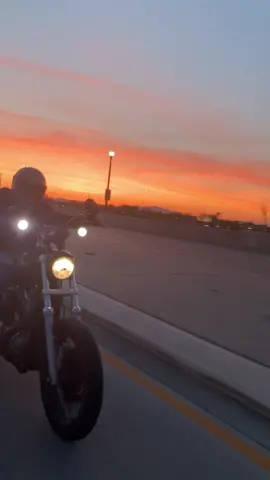 Buy some motorcycles and fall in love #fyp #motorcycle #sportster #chopper