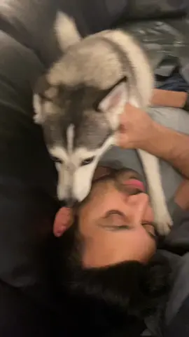 When your dog steals your man pt 2😂😂😂 #stealyourman #husbandcheck #dogsofttiktok #dontmesswithmyman