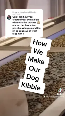 Reply to @chloelouisehilland #dogfood #kibble #dogkibble #austonley #healthydog #feedingmydog #dogallergies #foodallergies #bestdogfood #dogdiet