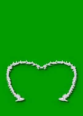 0026 #GreenScreen #hearts #Doves #Frame #animationtiktok #chromakeye #Футажик #Сердце #Голуби #эффекты #хромакейэффект #fytage #монтаж #movi #graphics